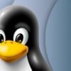 linux-users-are-about-to-face-another-major-microsoft-secure-boot-issue