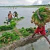netzeronitrogen-wants-bacteria-to-replace-synthetic-fertilizer-on-farm-fields